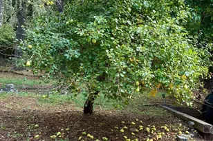 Address Not Disclosed, Santa Cruz, CA 95060 - Photo 43