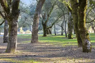11 Arroyo Sequoia, Carmel Valley, CA 93923 - Photo 1