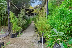 5601 Freedom Blvd, Aptos, CA 95003 - Photo 55