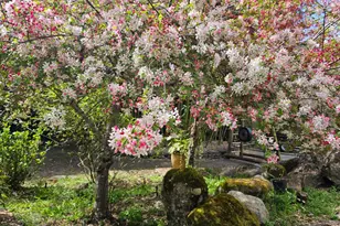 5601 Freedom Blvd, Aptos, CA 95003 - Photo 9