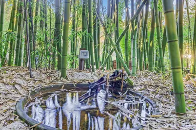 5601 Freedom Blvd, Aptos, CA 95003 - Photo 11