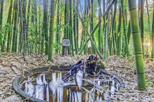 5601 Freedom Blvd, Aptos, CA 95003 - Photo 11