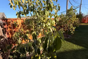 2121 Francis Ave, Santa Clara, CA 95051 - Photo 25