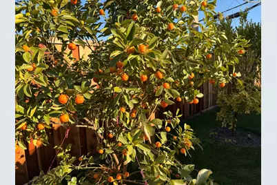 2121 Francis Ave, Santa Clara, CA 95051 - Photo 29