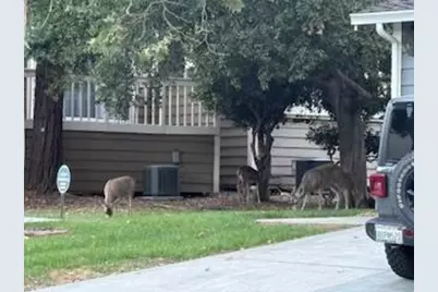 1212 Shelby Creek Ln, San Jose, CA 95120 - Photo 55