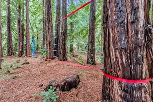 12845 Love Creek Rd, Ben Lomond, CA 95005 - Photo 51