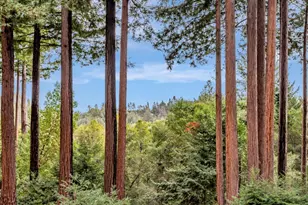 12845 Love Creek Rd, Ben Lomond, CA 95005 - Photo 49