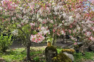 5601 Freedom Blvd, Aptos, CA 95003 - Photo 1