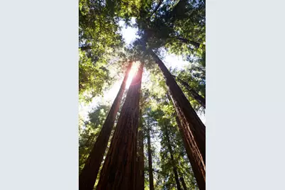 Lot 58 Skyview Ridge Rd, Boulder Creek, CA 95006 - Photo 61