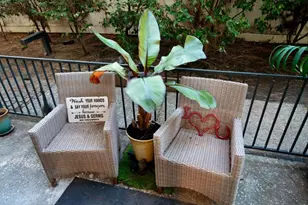 324 Catalpa St 111, San Mateo, CA 94401 - Photo 23