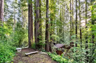 15101 Two Bar Rd, Boulder Creek, CA 95006 - Photo 71