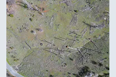 Old Emigrant Trail West, Mountain Ranch, CA 95246 - Photo 7