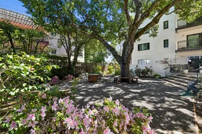 225 Virginia Ave 3D, San Mateo, CA 94402 - Photo 23