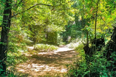 26 Meadow Way A, Scotts Valley, CA 95066 - Photo 67