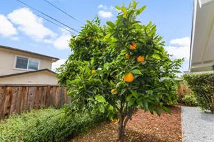 385 Cronin Dr, Santa Clara, CA 95051 - Photo 59