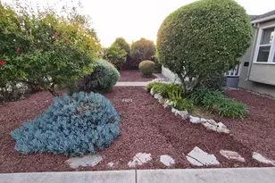 1993 De La Pena Ave, Santa Clara, CA 95050 - Photo 3