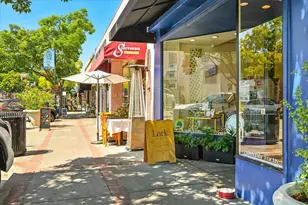 1019 Riverton Dr, San Carlos, CA 94070 - Photo 89