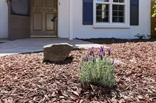 1019 Riverton Dr, San Carlos, CA 94070 - Photo 7