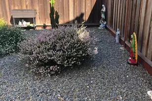 10864 Peerless Ct, Oakland, CA 94603 - Photo 5