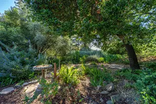 11265 Canyon Dr, San Jose, CA 95127 - Photo 37
