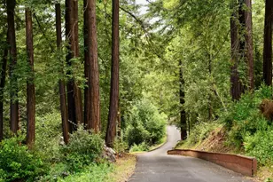 7200 Hwy 17, Scotts Valley, CA 95066 - Photo 7