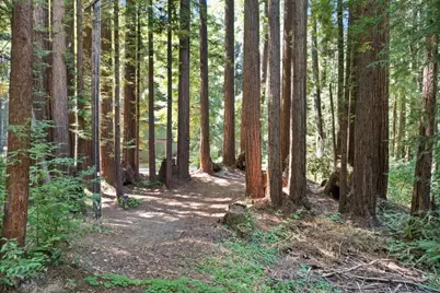 1666 Creek Dr, Felton, CA 95018 - Photo 17