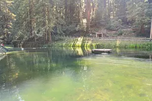 1666 Creek Dr, Felton, CA 95018 - Photo 47