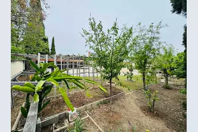 1227 Letitia Ct, San Jose, CA 95122 - Photo 21