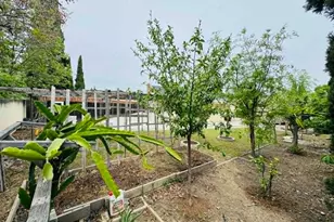 1227 Letitia Ct, San Jose, CA 95122 - Photo 21