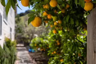 17554 Sugarmill Rd, Salinas, CA 93908 - Photo 35