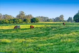 1190 7th Ave 3, Santa Cruz, CA 95062 - Photo 53