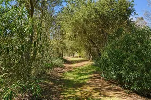 16615 Dewitt Ave, Morgan Hill, CA 95037 - Photo 63