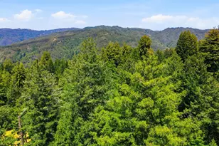 24580 Loma Prieta Ave, Los Gatos, CA 95033 - Photo 39