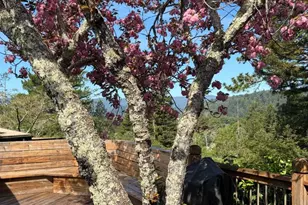 552 Bean Creek Rd 30, Scotts Valley, CA 95066 - Photo 63