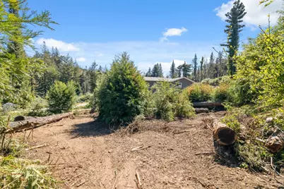 122 Cypress Tree Ln, Boulder Creek, CA 95006 - Photo 9