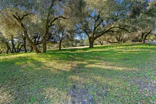 141 Whistler Ct, Scotts Valley, CA 95066 - Photo 37