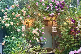 15 Brewin Ct, San Ramon, CA 94583 - Photo 21