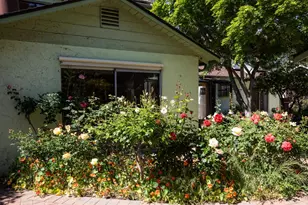 800 Loyola Dr, Los Altos, CA 94024 - Photo 31