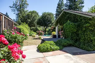 800 Loyola Dr, Los Altos, CA 94024 - Photo 23