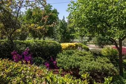 800 Loyola Dr, Los Altos, CA 94024 - Photo 5