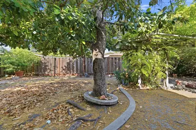 725 Santa Rita St, Sunnyvale, CA 94085 - Photo 31