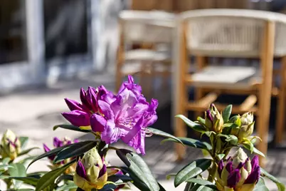 600 Comet Dr, Foster City, CA 94404 - Photo 49