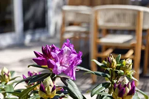 600 Comet Dr, Foster City, CA 94404 - Photo 49