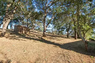 15208 Sycamore Dr, Morgan Hill, CA 95037 - Photo 85