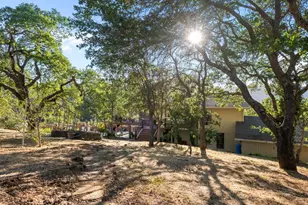 15208 Sycamore Dr, Morgan Hill, CA 95037 - Photo 85