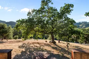 15208 Sycamore Dr, Morgan Hill, CA 95037 - Photo 87