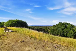 1350 Trinity Dr, Menlo Park, CA 94025 - Photo 37