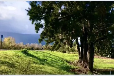 5657 Rotterdam Ln, San Jose, CA 95118 - Photo 17