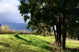 5657 Rotterdam Ln, San Jose, CA 95118 - Photo 17