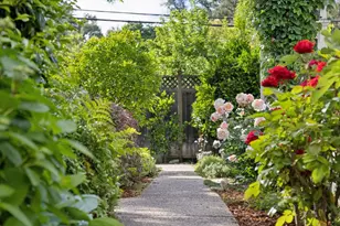 115 Glen Ridge Ave, Los Gatos, CA 95030 - Photo 67